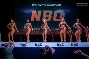 WELLNESS НОВИЧКИ